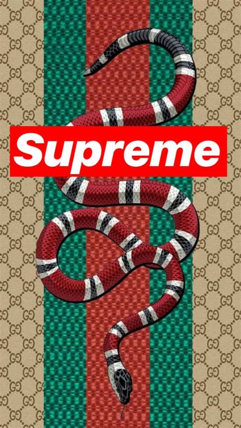 supreme gucci box logo wallpaper